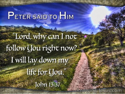 John 13:37  Peter Said, Why Cant I Follow You (blue)